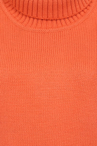 Wendy Roll Neck Slipover